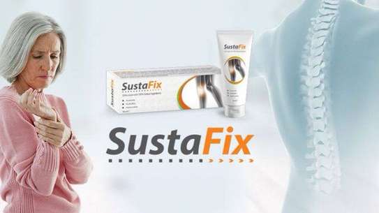 SUSTAFIX Joint Pain and Body Pain Reliever 100ml image 1