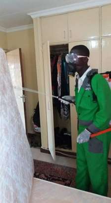 Fumigation and Pest Control Services Highridge image 3