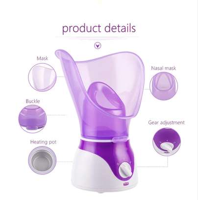 Face and  nasal steamer image 5