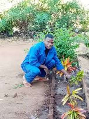 Professional Gardeners for Hire in Thika Town | Call Now image 5