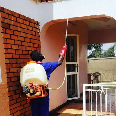 Pest Control and Fumigation Services Parklands image 2