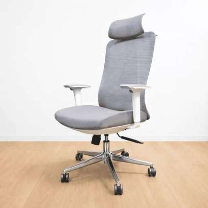 Executive Chairs : Orthopedic Executive Office Chair image 2