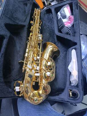 Saxophone Alto Doré Brillant avec Étui et Accessoires image 5