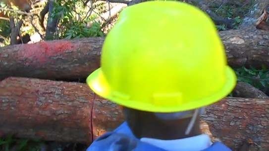 Professional Hedge Trimming & Garden Clearance Nairobi image 5