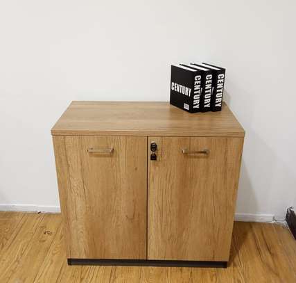 Wooden 2 Door Home Office Storage Cabinet image 6