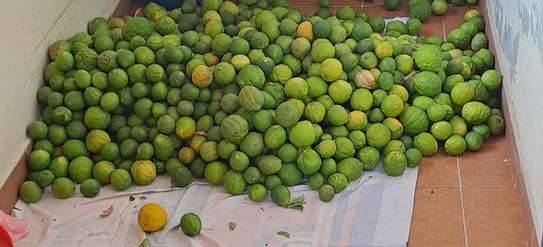 FRESH LEMONS image 2