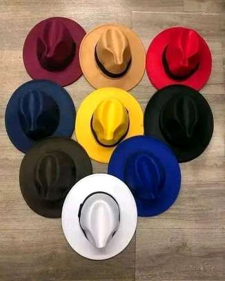 Fedora hats in various colors image 2