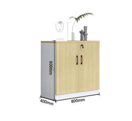 Wooden 2 Door Home Office Storage Cabinet image 12