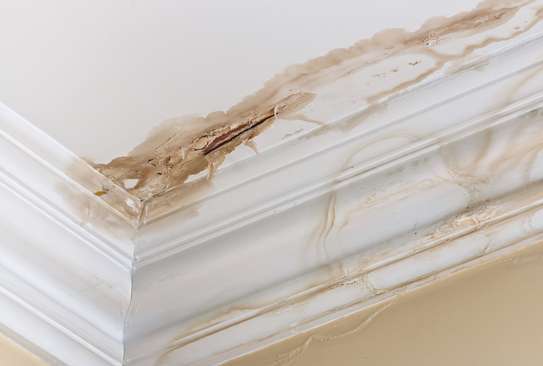 Roof repair experts in Mombasa| Roof repair experts Mombasa. image 4
