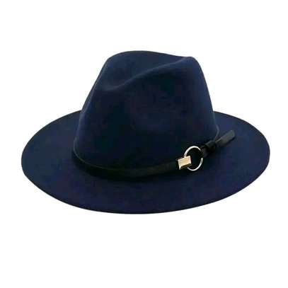 Wide brim Fedora hats image 4