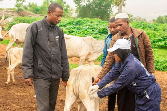 Professional Workforce & Facilities Management in Ruiru image 11