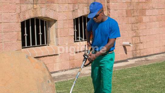 Gardening & Landscaping Services in Karen image 4