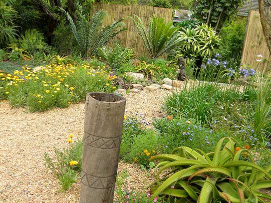 Landscaping & Gardening Services Kitisuru image 13
