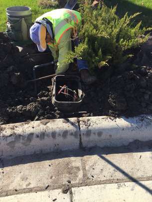 Landscaping & gardening services in Nairobi | Give us a call today. image 3