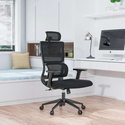 Orthopedic Executive Office Chair image 2