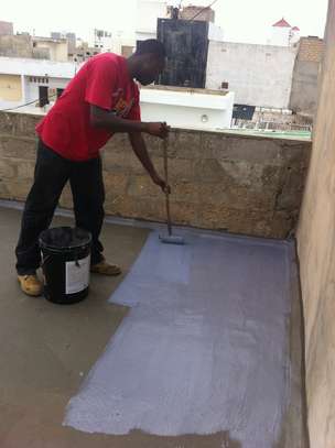 House Cleaning & Handyman Services | Nakuru image 13