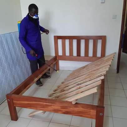 Pest Control and Fumigation Services Garden Estate image 2