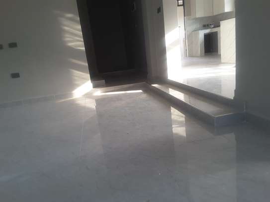 Amazing 4 BR Houses in Ngong image 14