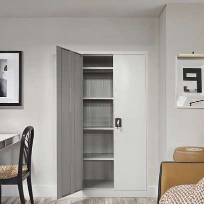 2-Door Metallic Document Cabinet image 3