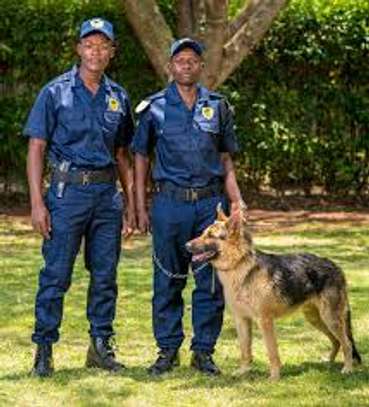 THE BEST SECURITY COMPANY IN NYERI, KENYA-BESTCARE image 2