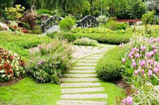 Landscaping & Gardening Services Kitisuru image 7