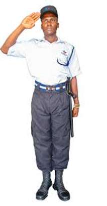 Professional Security & Guarding Services in Nyeri, Kenya image 2