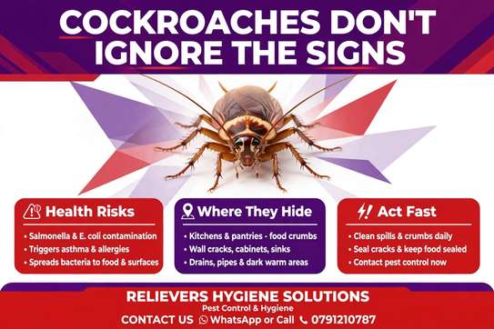 Cockroaches Spraying Services image 3