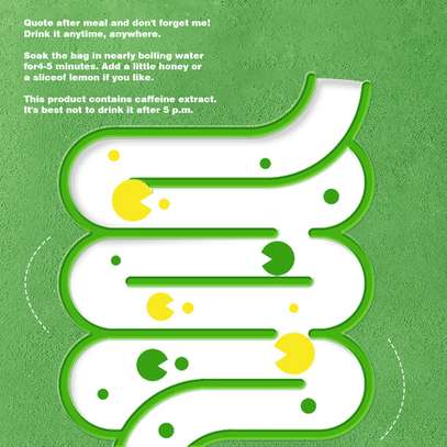 BIYODE Green Tea 30 Bags Detox & Digestion Support image 3
