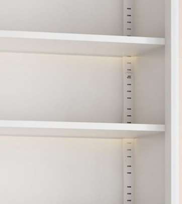 Office Cabinet:  Full 2-Doors Filing Glass Office Cabinet image 2