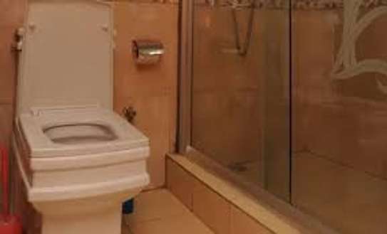 Trusted Plumbers & Handyman Services Kiambu Road Nairobi image 10