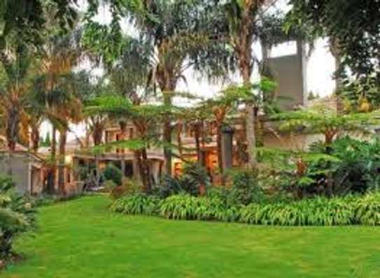 Best House Help Agency in Nakuru - Kenya image 4