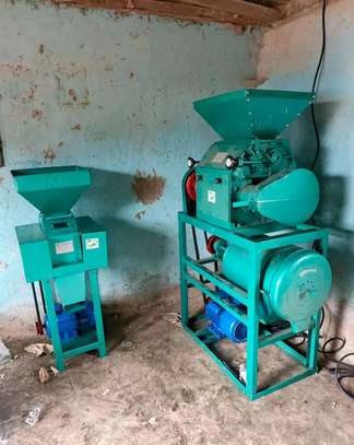 Roller mill and crusher image 4