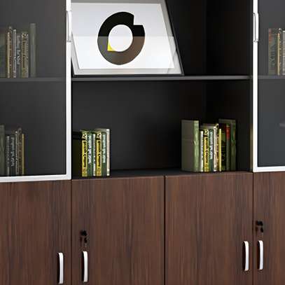 2 Door Executive Cabinet image 3