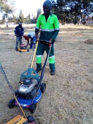 Professional Gardeners for Hire in Thika Town | Call Now image 4