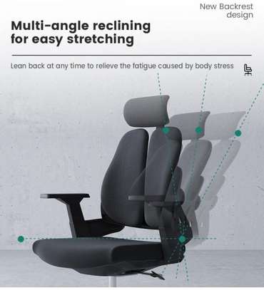 Orthopedic High-Back Lumbar Support Seat image 3
