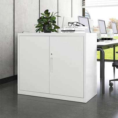 Office Cabinet: 2-Door Office Cabinet In Gesima image 7
