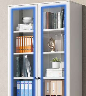 Office Cabinet:  Full 2-Doors Filing Glass Office Cabinet image 5