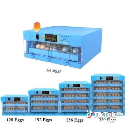 64 eggs incubator image 9