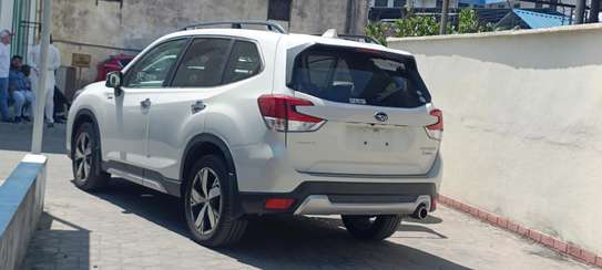 Subaru Forester SUV White Fuel-Efficient Versatile image 2