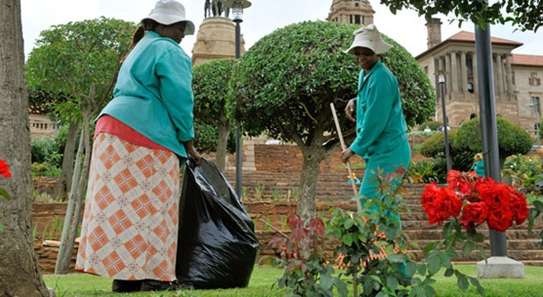 Landscaping & Gardening Services Kitisuru image 4