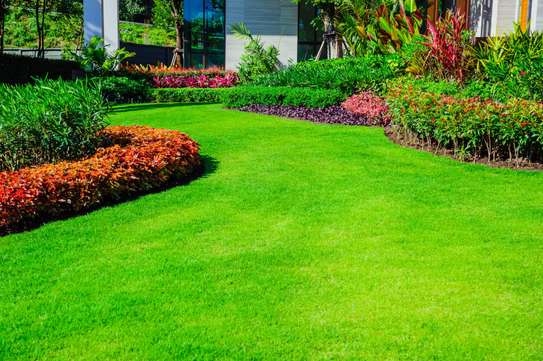 Nanny Agency & Nanny Services |  House Managers, Couples, Housekeepers, Chefs/Cooks, Estate Managers, Butlers, Chauffeurs/Drivers Nairobi. image 9