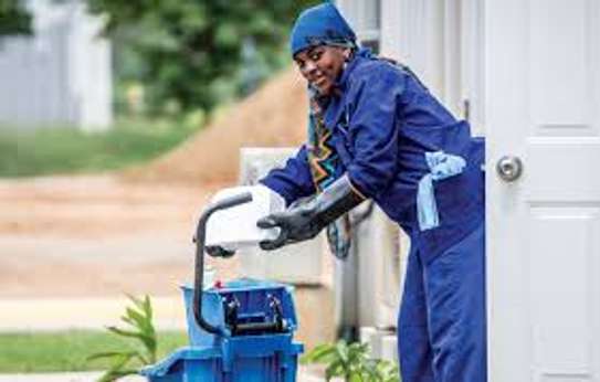 Chefs/Cooks,Chauffeurs/Drivers,Butlers, Housekeepers Gardeners image 4