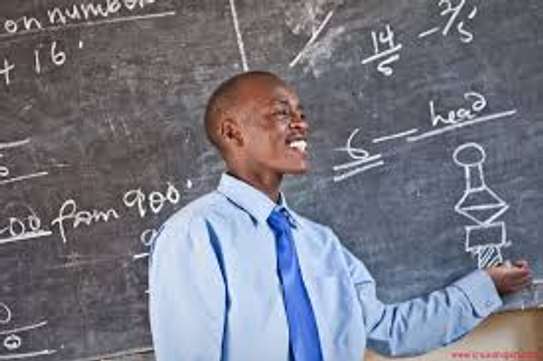 Professional Tutors/Teachers image 2