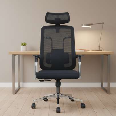 Office Chairs : High-back Ergonomic Office Chair image 5