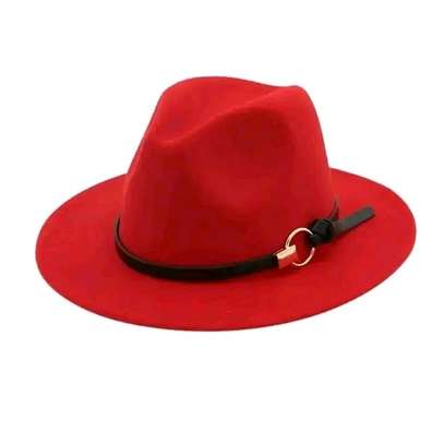 Wide brim Fedora hats image 2
