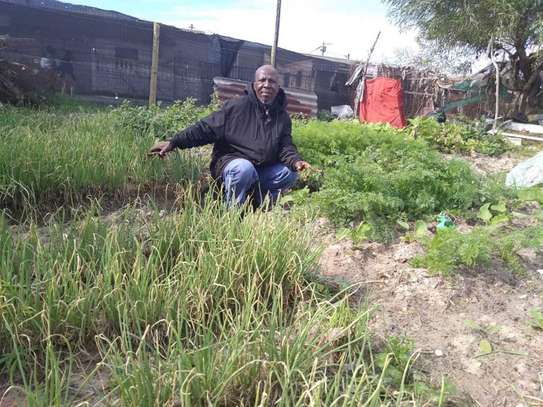 GARDENING & LANDSCAPING SERVICES IN NYERI image 4
