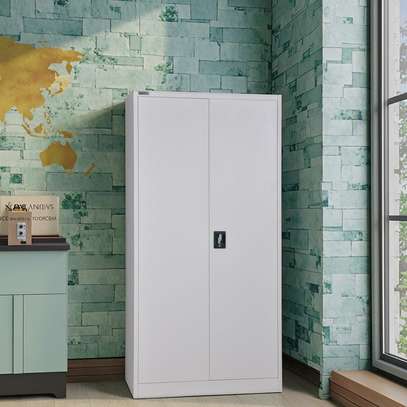2-Door Metallic Document Cabinet image 4