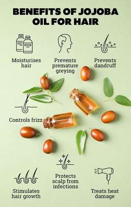 Jojoba image 2
