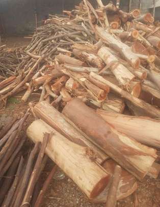 Dry Firewood image 2
