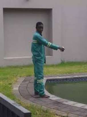 Best House Help Agency in Nakuru - Kenya image 10
